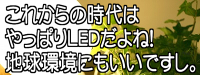 これからの時代は やっぱりＬＥＤだよね！ 地球環境にもいいですし。