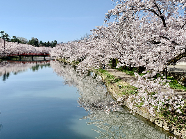 hirosakipark1
